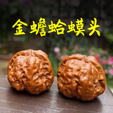 山中玉文玩核桃金蟾蛤蟆头一物一图实拍闷尖狮子头手把件盘父亲节礼物 39-40mm金蟾蛤蟆头
