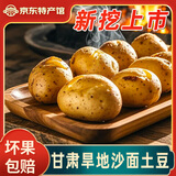 临小夏甘肃定西土豆2025新挖粉糯沙面黄皮黄心洋芋鲜马铃薯定西特产净重 5斤小果【单果2两左右适合煎炸】