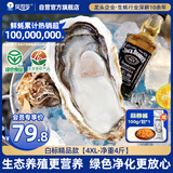贝司令（BEISILING）【鲜活】乳山生态生蚝牡蛎贝类烧烤源头直发4XL净重4斤 海鲜水产