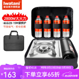 岩谷（Iwatani）卡式炉套装户外便携式卡磁炉瓦斯炉家用火锅炉具烧烤炉野炊ZB-19 ZB-19M炉+4瓶气+一体收纳包