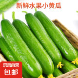 京喜加新鲜无刺水果小黄瓜小青瓜脆甜荷兰脆嫩生吃黄瓜蔬菜 水果黄瓜 2斤 带箱活动