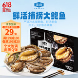 金唐鲜冻鲍鱼净重300g 10粒盒装带壳鲍鱼肉 贝类海鲜生鲜火锅烧食材