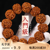 茂悦五瓣爆肉纹大金刚盘玩手串菩提子原籽男士文玩佛珠核桃手链把件 五瓣爆肉纹大金刚