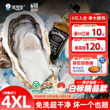 贝司令（BEISILING）【鲜活】乳山生态生蚝牡蛎贝类烧烤源头直发4XL净重4斤 端午聚餐