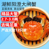 【活蟹】湖鲜阳澄 大闸蟹 去绳足重 2.7-3.0两 12只 鲜活六月黄现货超大螃蟹海鲜礼盒装