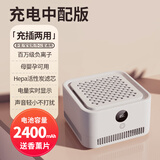 日本小型空气净化器家用除甲醛烟味办公室桌面迷你负离子净化机 【中配款】负离子净化H13HEPA+活性炭双层滤芯