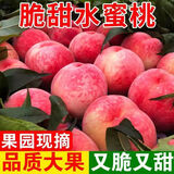 顺丰正宗山东蒙阴水蜜桃新鲜水果当季现摘脆甜多汁毛桃子脆桃整箱 3斤大果【顺丰现摘】