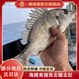 潮海堂海鲷鱼黄翅鱼鲜活两去冷冻黄脚立海鲜海鱼水产400g/袋食材生鲜 三袋黄翅鱼350-400g/袋9-12条