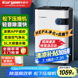欧井（Eurgeen）除湿机/抽湿机 除湿量22升/天 家用地下室净化杀菌智控除湿器 OJ-223E