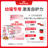 皇家皇家幼猫 干湿搭配   K36 4.5KG+ KJP 85G*12