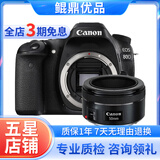 佳能/CANON  80D 60D 70D 77D 50D 90D 半画幅 二手单反相机 佳能80D+50 F1.8 STM 小痰盂 99新