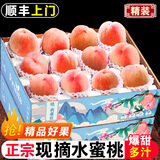 正宗水蜜桃新鲜桃子水果当季整箱果园现摘爆甜多汁山西大桃子 净重4.5斤精选大果单个3-4两