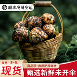 智田喜雅江松茸新鲜高品质未开伞松茸菌菇野冷链空运多地次日达生日送礼 未开伞松茸5-6cm 净重 500g 统货直发