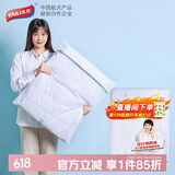 太力洗衣袋 大号羽绒服毛衣大衣洗衣机专用护洗袋 1件