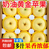 山东烟台黄金奶油富士苹果脆甜冰糖心很像维纳斯苹果 果王净4.5斤80果