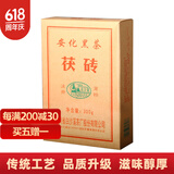 白沙溪安化黑茶 特制茯砖茶 湖南老字号金花茯茶自饮口粮茶 新版特制茯砖300g
