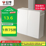 公牛（BULL）明装大板墙壁开关 G59系列 二开单控开关  G59K211