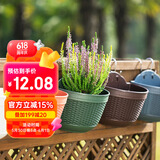 恰好时光北欧风仿藤壁挂花盆花卉绿植阳台庭院花盆园艺绿萝花盆咖色中号