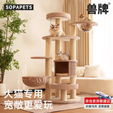 兽牌森林猫爬架大型猫树猫窝一体实木豪华剑麻猫架太空舱缅因大猫适用 森林【经典款】
