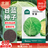 北蔬 甘蓝种子苗卷心菜包菜圆白菜大头菜夏秋季菜种籽 甘蓝种子500粒