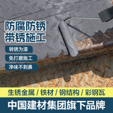 嘉宝莉（CARPOLY）铁锈转化剂免打磨油漆防锈漆防腐免除锈彩钢瓦翻新金属漆中灰1kg