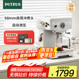柏翠(petrus)【国家补贴】咖啡机意式浓缩家用小型半自动蒸汽打奶泡 PE3833 海盐小方pro