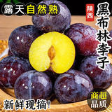 康田汇 陕西黑布林李子恐龙蛋当季水果孕妇现摘 净重2-2.5斤单果80g+ 源头直发