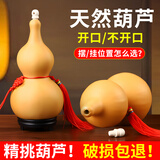明恩天然葫芦挂件镇宅风水摆件开口带龙头真葫芦手捻文玩小葫芦家居 木塞开口葫芦高10-12cm（底座挂钩+朱砂）