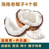 兮柔海南老椰子 毛椰子椰皇 4个装 椰肉厚煲鸡汤榨汁孕妇椰子生鲜水果
