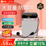 索爱（soaiy）S318小蜜蜂扩音器教师专用U盘TF卡麦克风喇叭防啸叫导游蓝牙音箱户外教学讲课  TYPE-C金