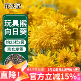 花沃里 玩具熊向日葵/重瓣花卉种子家庭盆栽向日葵阳台办公室庭院约25粒