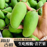 青惠悠云南生吃酸芒果蘸酱腌制脆绿青象牙芒果无核孕妇酸野水果整箱 酸芒果-1斤装试吃