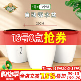 德沃多肥料自动吸水盆5号*3花盆懒人盆可储水创意简约家庭阳台树脂花盆种菜