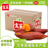佳农宝菜兰考蜜薯香甜可口单果约100g+地瓜净重4.5斤装番薯源头直发