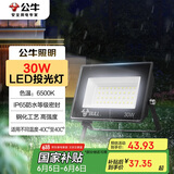 公牛（BULL）LED投光灯户外庭院工厂园林灯露营灯 IP65防水等级30W-6500K白光