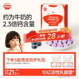秋田满满高钙益生菌酸奶溶豆儿童零食易吞咽莓莓味18g享6个月以上婴儿食谱