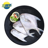三都港 冷冻东海银鲳鱼净重450g/3条装 平鱼 海鱼生鲜鱼类 烧烤