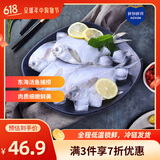 鲜到鲜得 冷冻东海银鲳鱼净重800g 平鱼 生鲜鱼类烧烤食材 烧烤