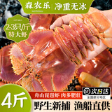 森农乐舟山琵琶虾鲜活特大生鲜冷冻九齿扇虾姑新鲜濑尿虾深海海鲜爬虾 1000g(净重)  14-18cm（4-5只/斤）