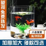 茨格曼圆柱形鱼缸一体缸办公桌面养鱼缸迷你小型玻璃钢乌龟缸家用金鱼缸 透明 直径15*高20CM