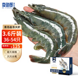 卖鱼郎先生青岛盐冻大虾净重3.6斤 36-54只白虾大虾基围虾生鲜 虾类