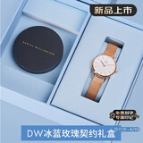 丹尼尔惠灵顿（DanielWellington）DW女士手表简约欧美时尚腕表 石英手表女送女友礼物DW00100219