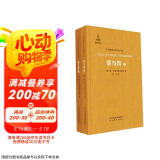 罪与罚（套装共2册） /非琴俄罗斯文学经典译文集 小说