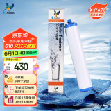 道尔顿（Doulton）【英国原装进口】净水器滤芯 KDF DIP301专用适配滤芯BioTect Ultra 9004型