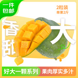京鲜生 攀枝花好大一颗凯特芒 2斤巨无霸 2粒4斤装  生鲜水果 源头直发