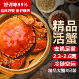 【活蟹】湖鲜阳澄 大闸蟹 去绳足重 2.3-2.6两 8只 鲜活六月黄现货超大螃蟹水产礼盒装