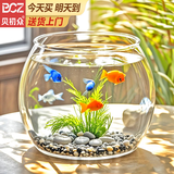 贝初众鱼缸小鱼缸乌龟生态缸圆形塑料一体家用型桌面金鱼缸自循环免换水 轻巧高透鱼缸21*16*17cm【中号】 高透pet仿玻璃材质 裸缸 打不破 摔不碎 久用不糊