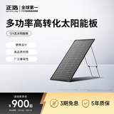 ECOFLOW【新一代单晶硅】正浩【125W双面模块化太阳能板】光伏发电板家用户外露营防水折叠