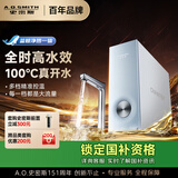 史密斯（A.O.SMITH）佳尼特加热净水器厨下家用直饮净水机净饮机100℃真开水CDR2500S1蓝鲸净热一体Pro高水效 国家补贴