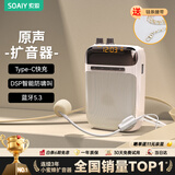 索爱S318小蜜蜂扩音器教师专用大功率DSP智能防啸叫U盘TF卡蓝牙音箱音响喇叭麦克风户外便携式 旗舰版